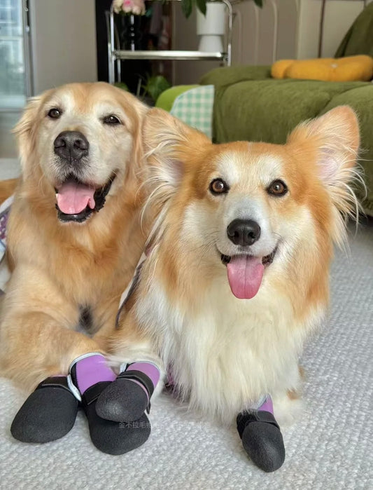 Soft Shell Water Resistant Booties